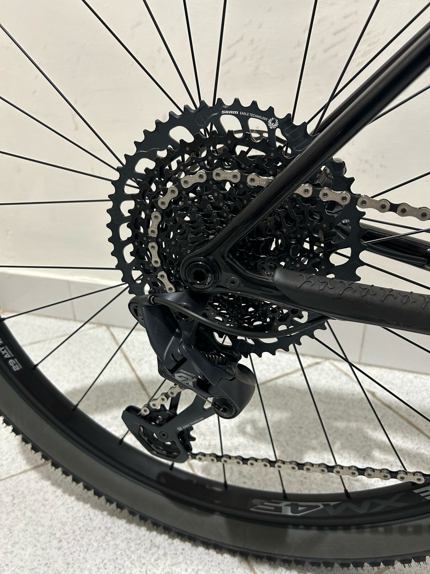 Wilier Usma SLR taglia L - Usata